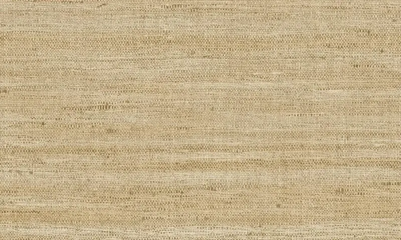 ARTE Lignes Straw - 40510