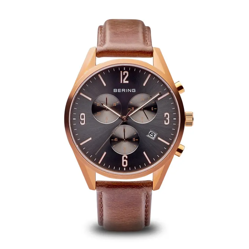 Bering 10542 562 Men Watch 42mm 5ATM