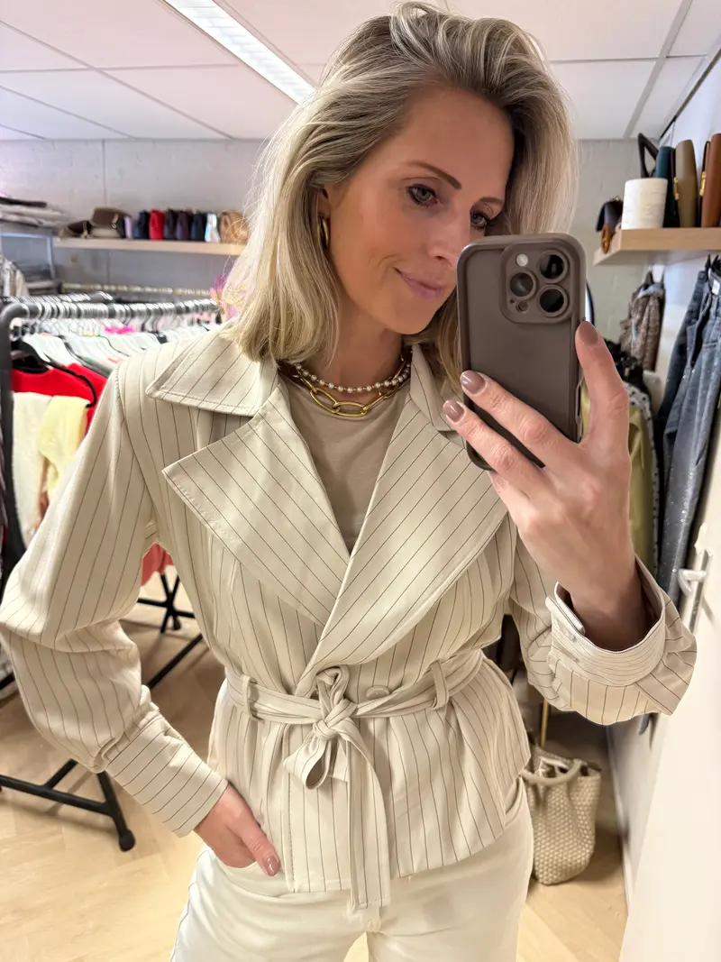 Blazer Charlie Krijtstreep Beige Bruin