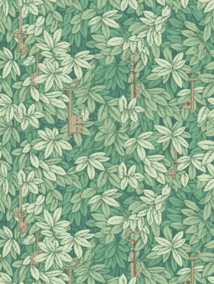 Cole and Son Chiavi Segrete 114/26050