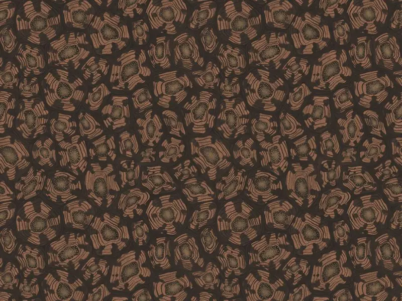 Cole and Son Savanna Shell - 119/4018