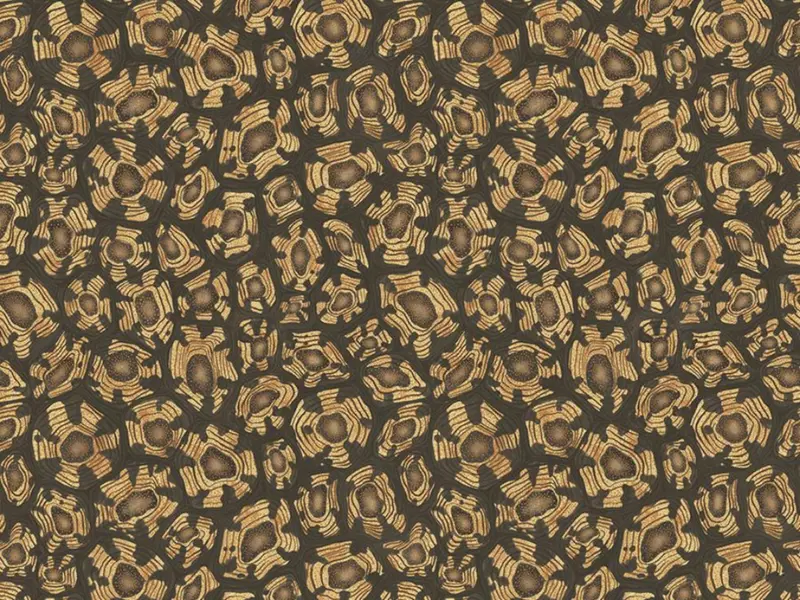 Cole and Son Savanna Shell - 119/4019