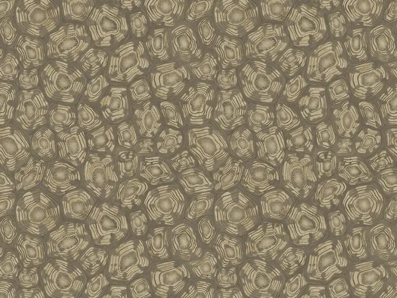 Cole and Son Savanna Shell - 119/4020