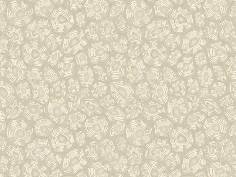 Cole and Son Savanna Shell - 119/4021