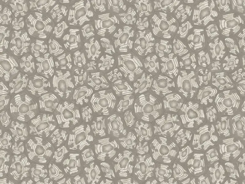 Cole and Son Savanna Shell - 119/4022