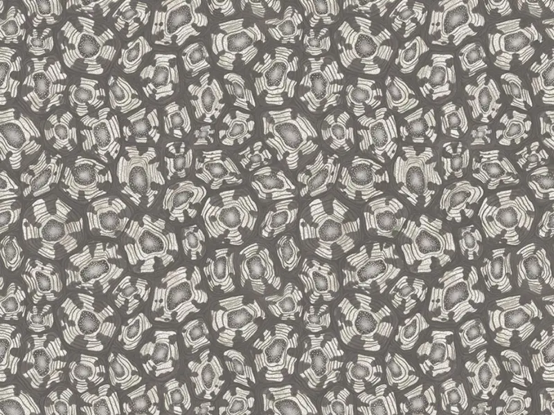 Cole and Son Savanna Shell - 119/4023