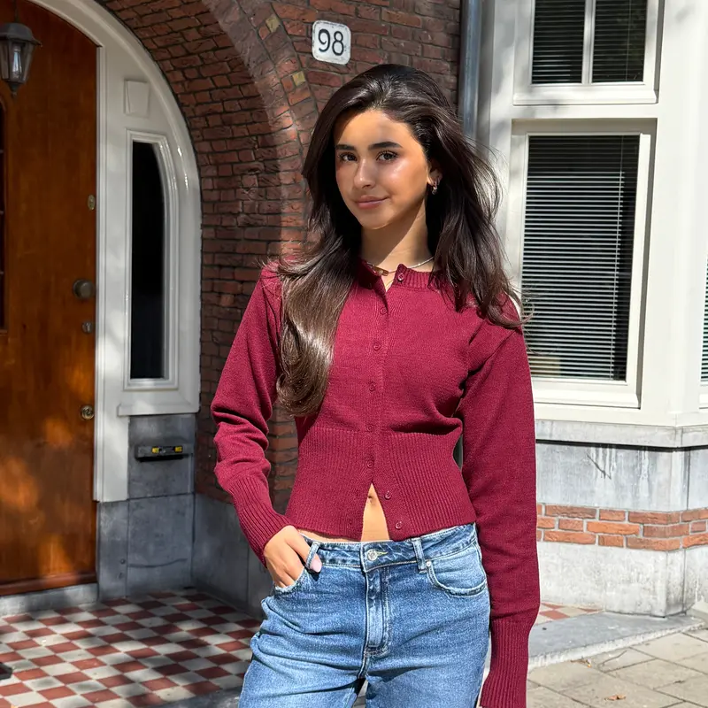 Knit cardigan wine red | fall collection paris