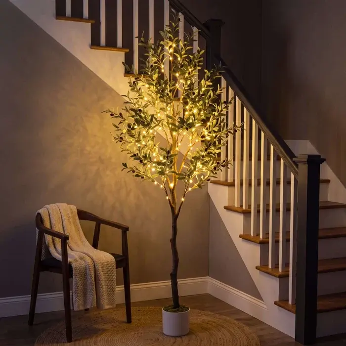 Lichtboompje met olijfbladeren – grijsgroen loof met kleine lampjes erin
