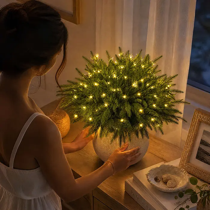 Lichttakken – kunstdennentakken met kleine warme lampjes voor in je eigen vaas