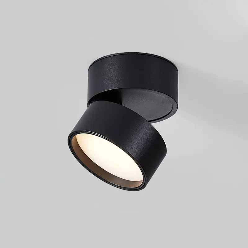 Plafondspot in opbouw – kantelbare kop en warmwit licht van 3000 K