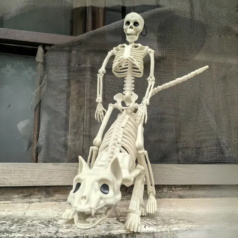 Skeletduo 40 cm – mensfiguur en kat met haak om op te hangen