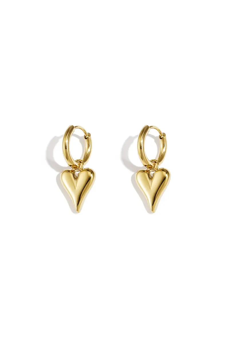 stainless steel heart shaped earrings