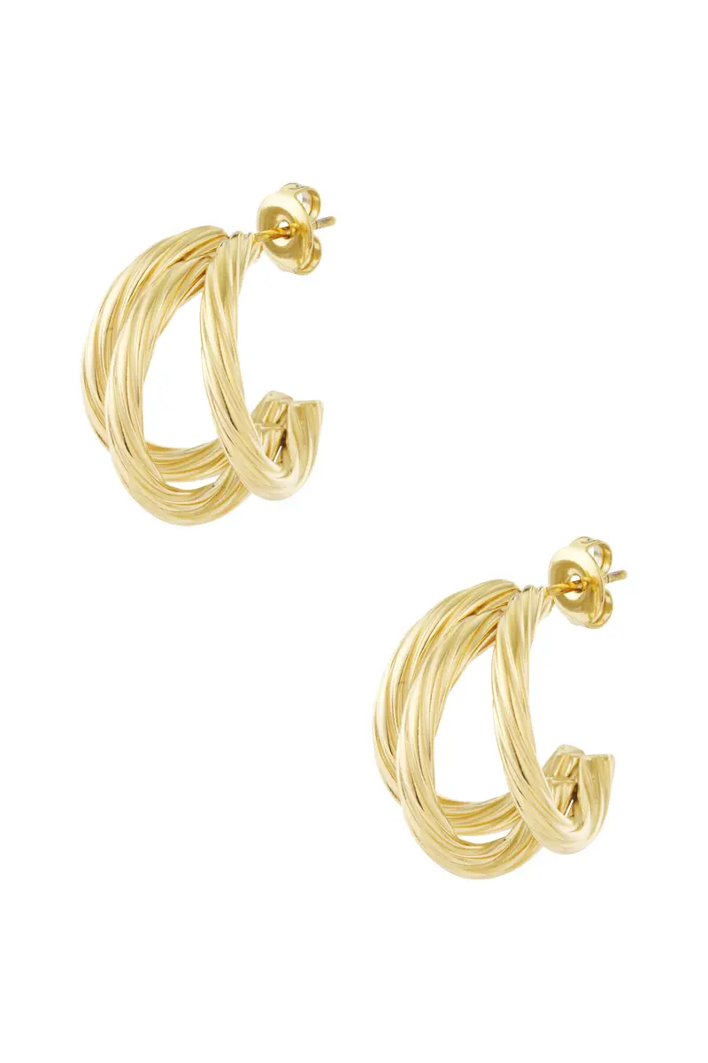 Stainless Steel Hoop Earrings Geometric Daily Daily