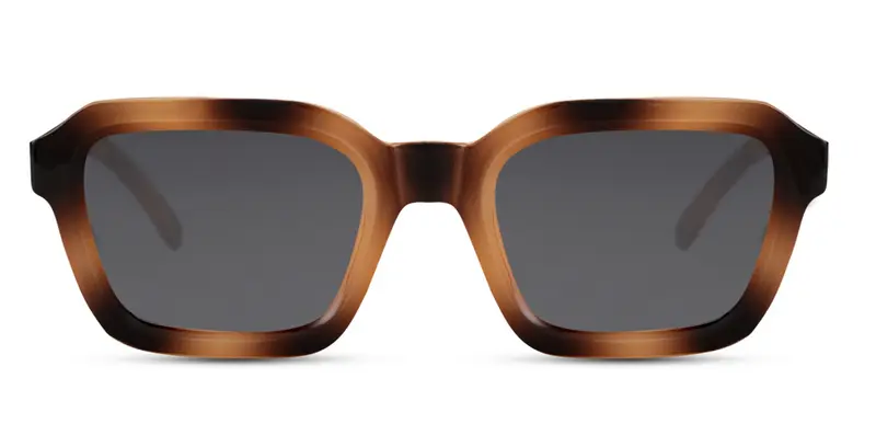 Sunglasses 6546