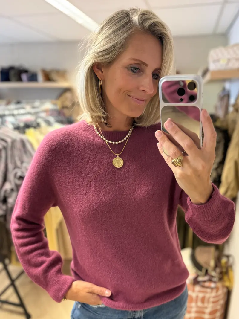 Trui Claudia Alpaca Lange Mouw Mauve