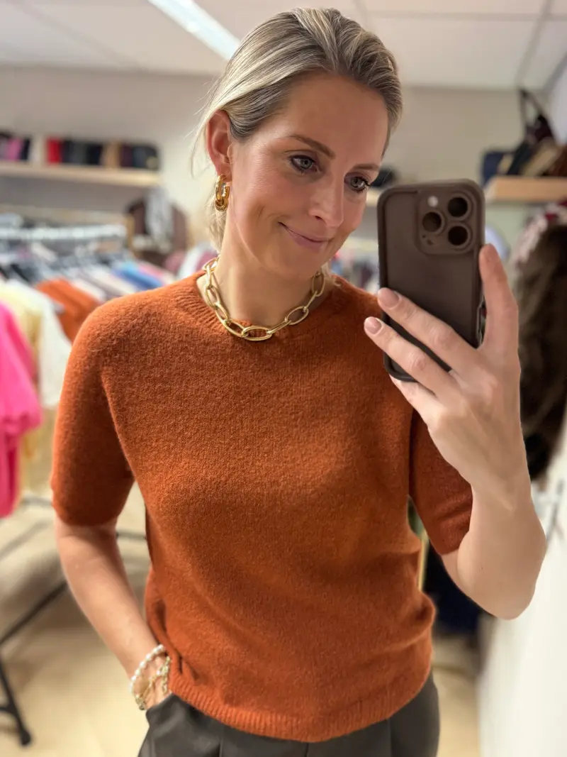 Trui Claudia Korte Mouw Alpaca Brique