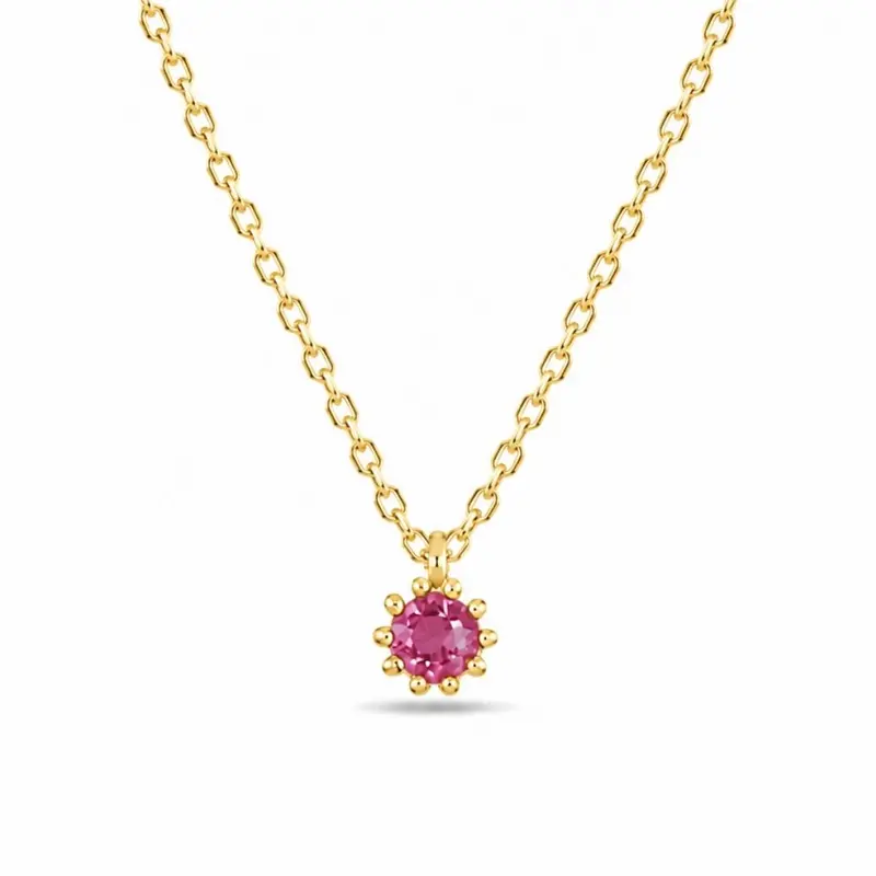 Vergulde Ketting Met Steentje Roze Hanna | Fuchsia Zirkonium
