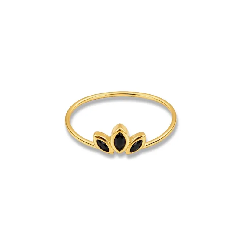 Vergulde Ring Zwarte Steentjes Black Crown